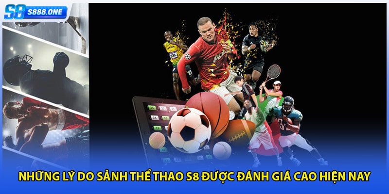 Những lý do sảnh thể thao S8 được đánh giá cao hiện nay